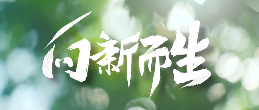 喜讯 | 这个视频创意大赛，我们入围啦！